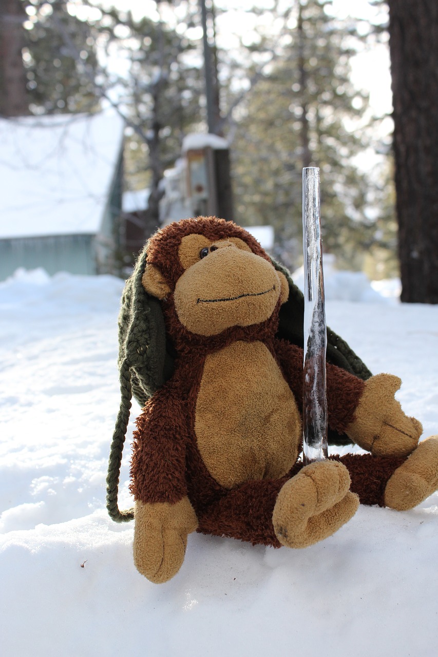 stuffed animal monkey snow free photo