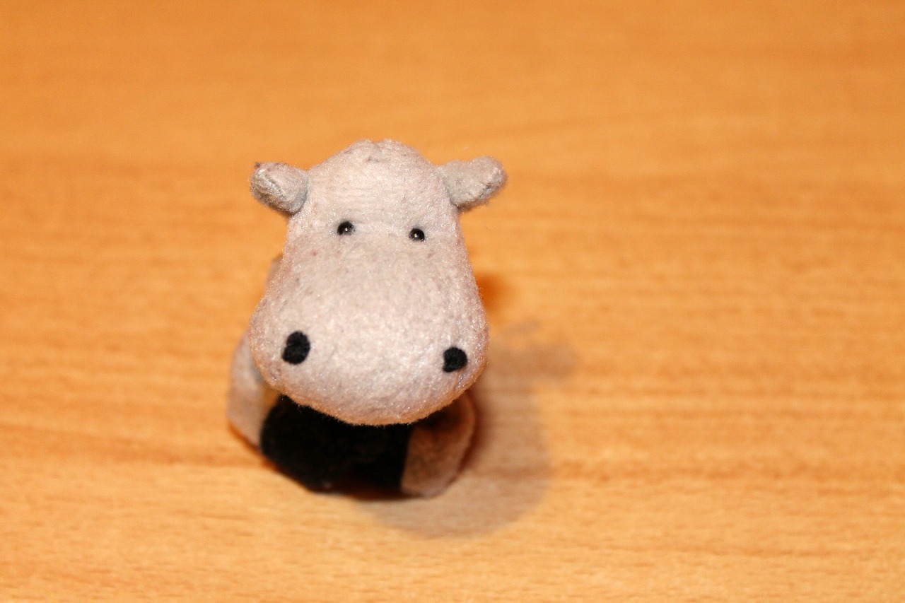 stuffed animal hippo toys free photo