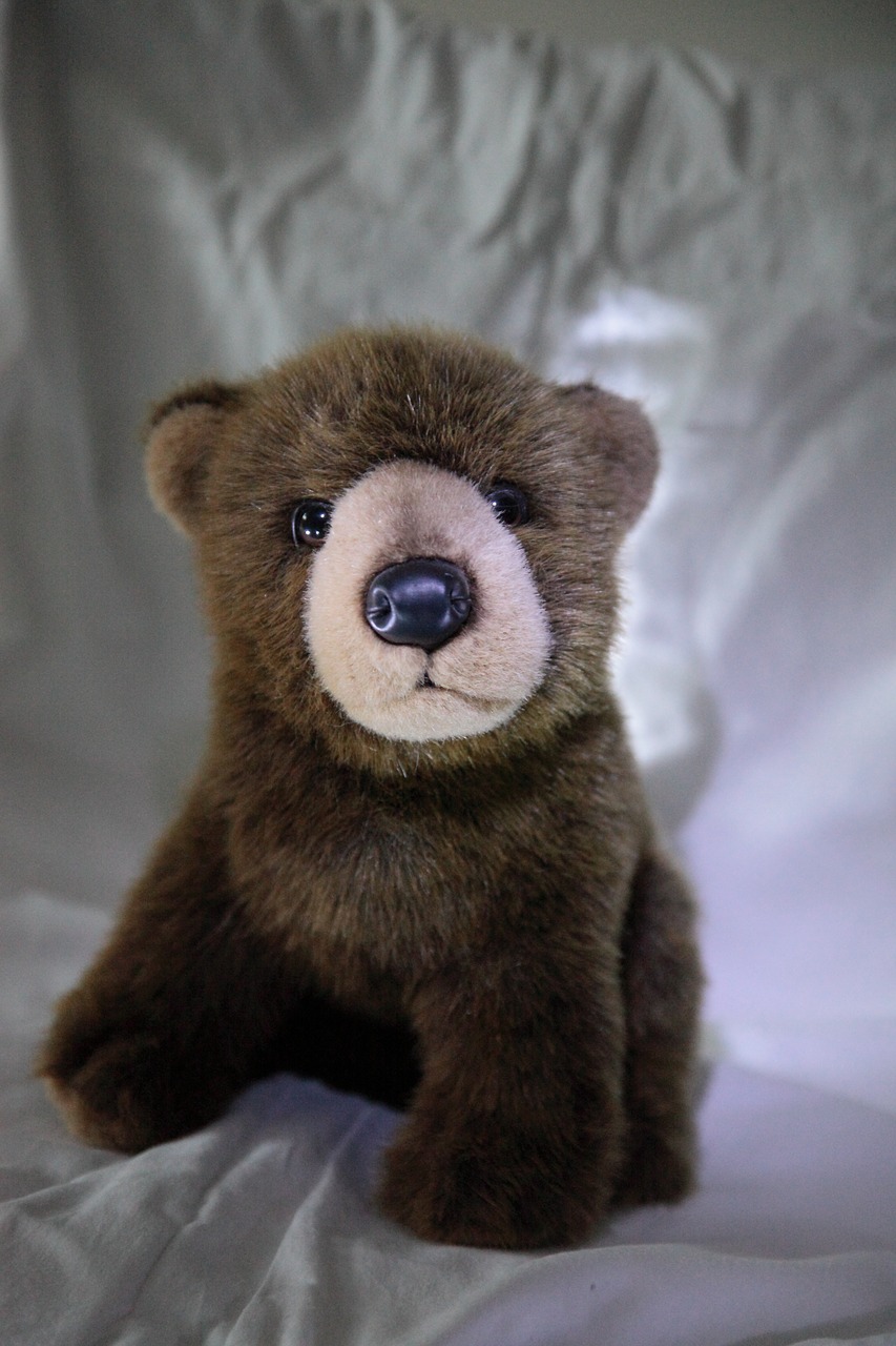 stuffed animal toy bear brown bear free photo