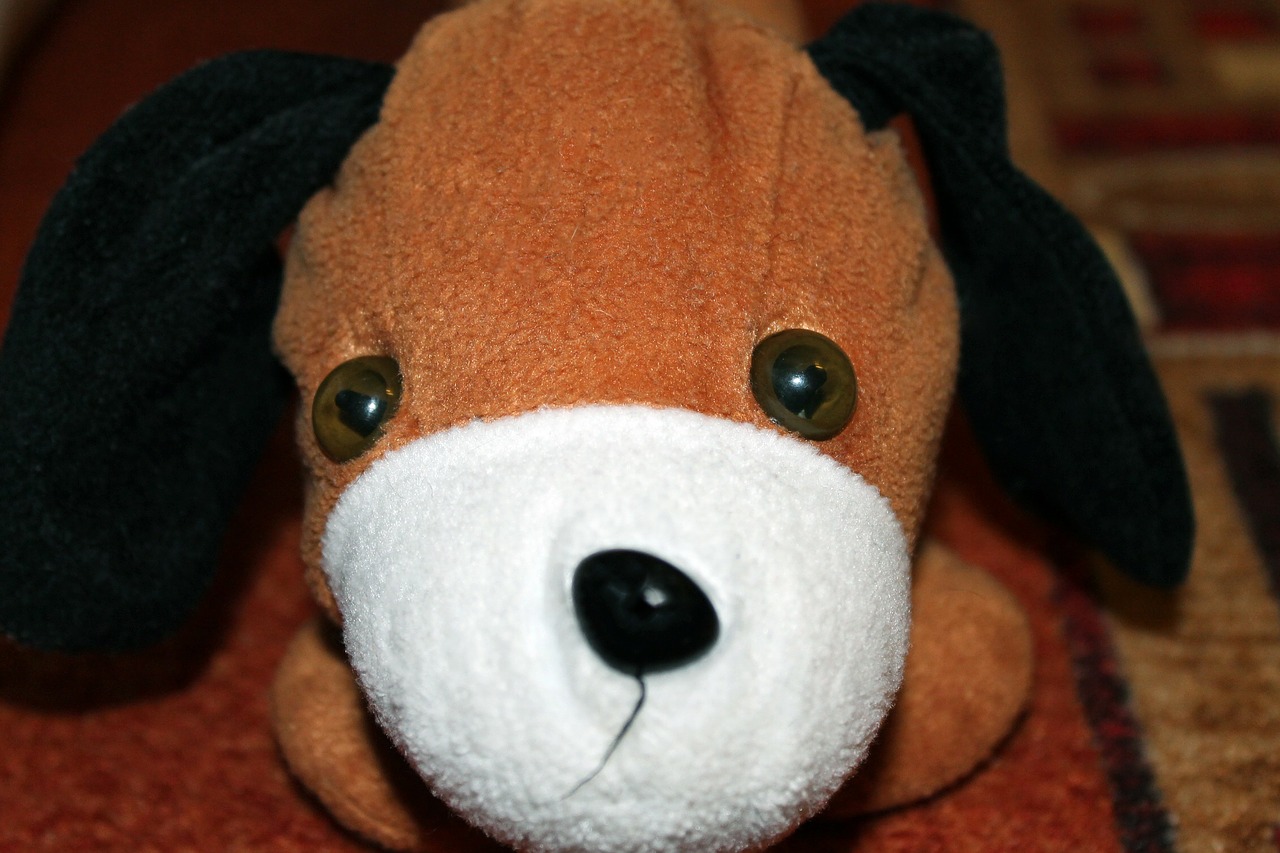 stuffed animal dog floppy ear free photo