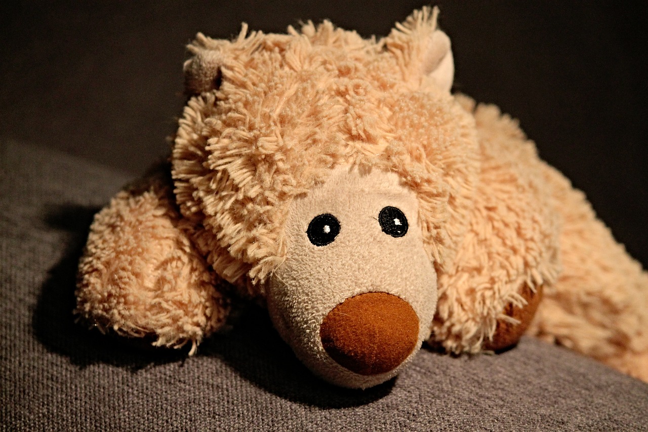 stuffed animal teddy bear bear free photo
