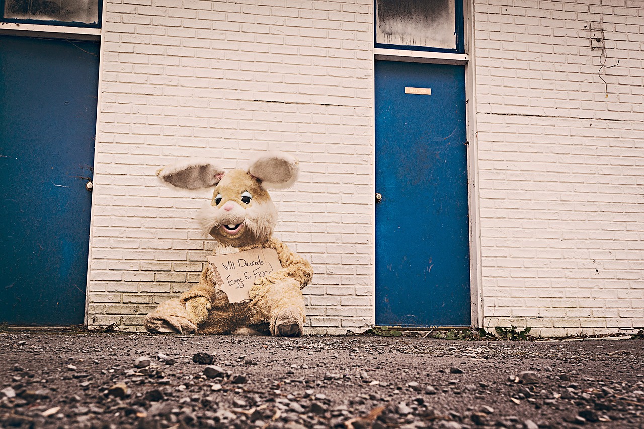 stuffed animal bunny homeless free photo