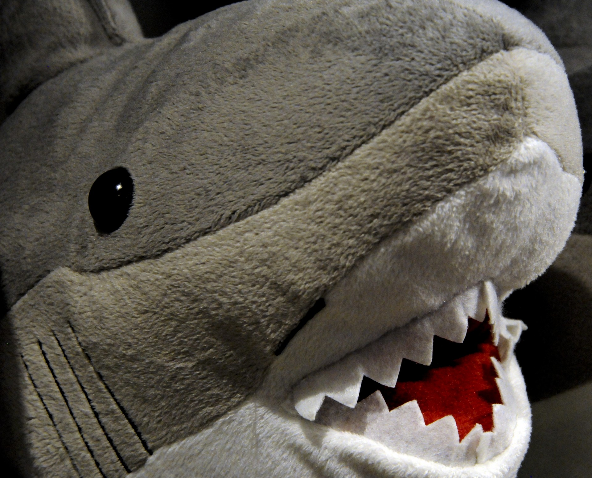shark stuffed animal toy free photo