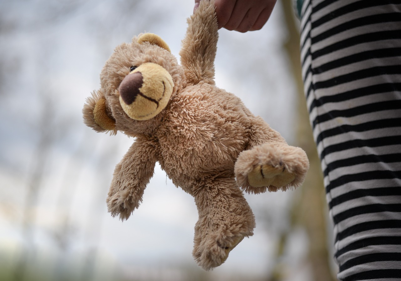 stuffed bear teddy child free photo