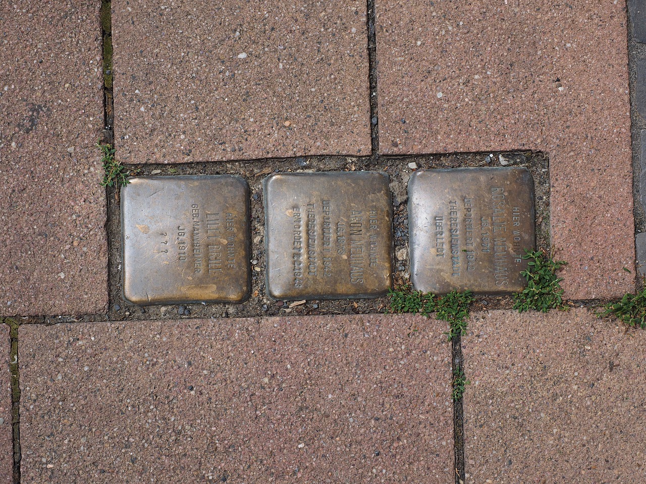 stumbling blocks memorial plaque stone free photo