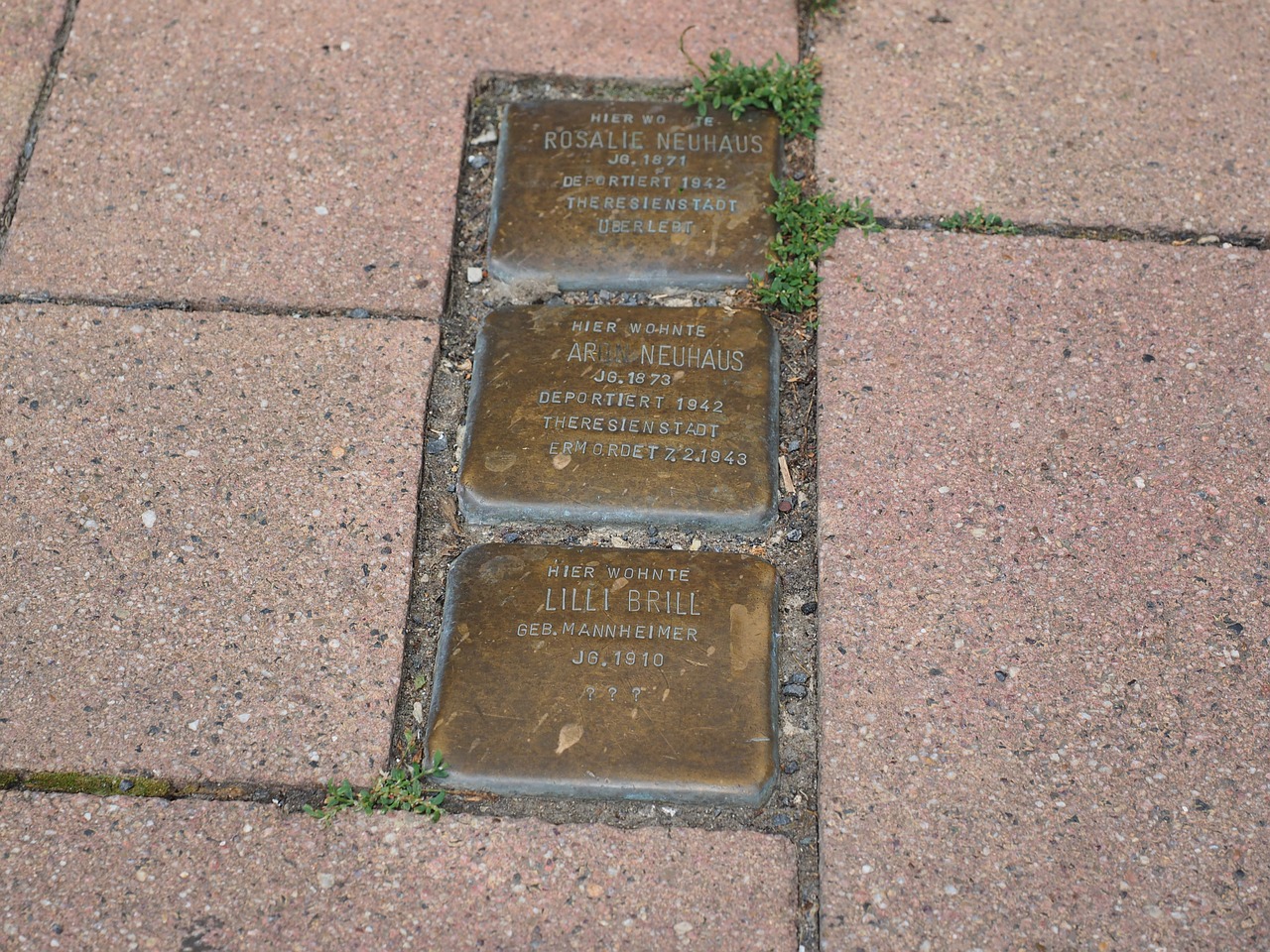 stumbling blocks memorial plaque stone free photo