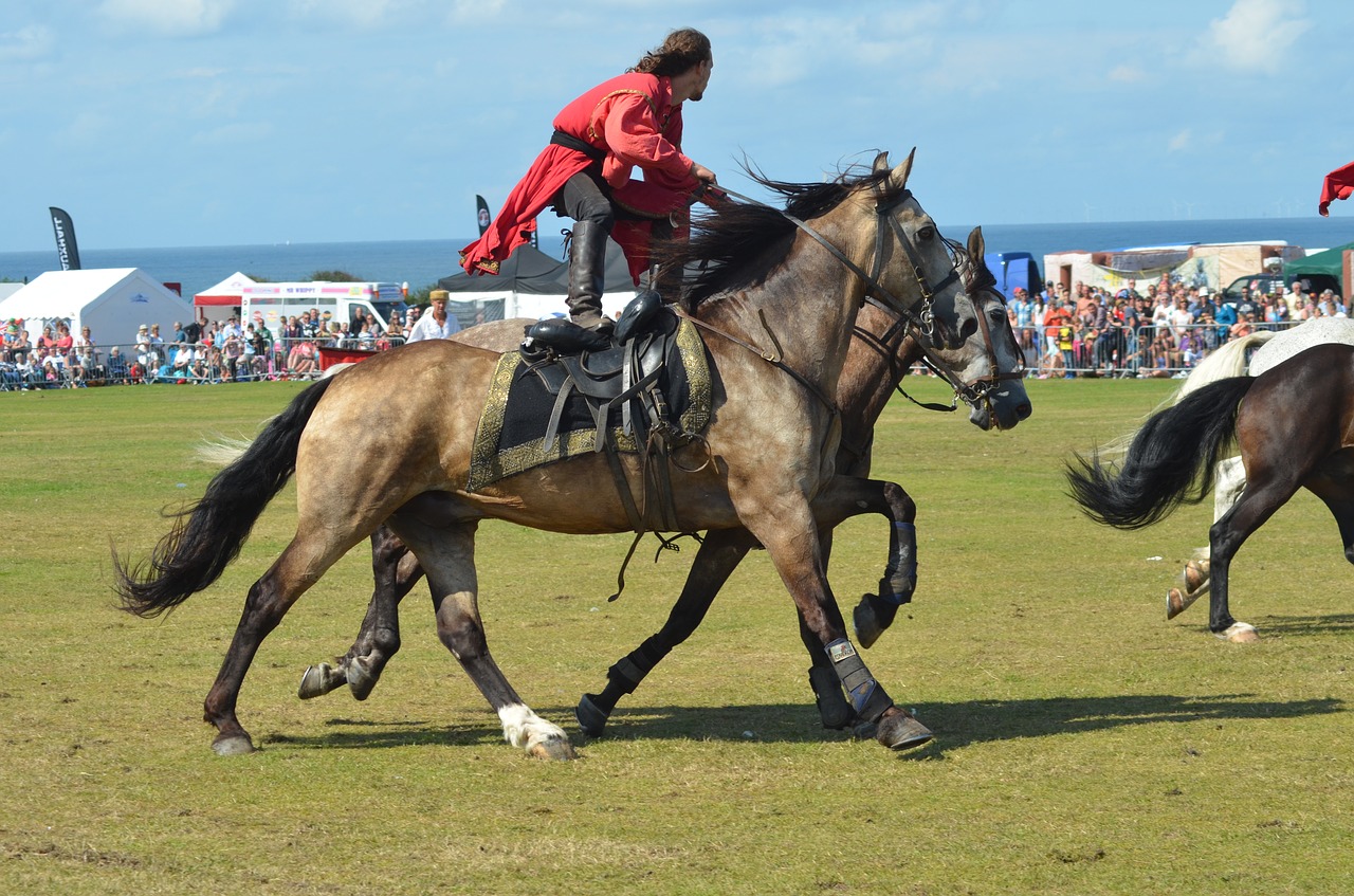 stunt riding cromer carnival horse riding free photo