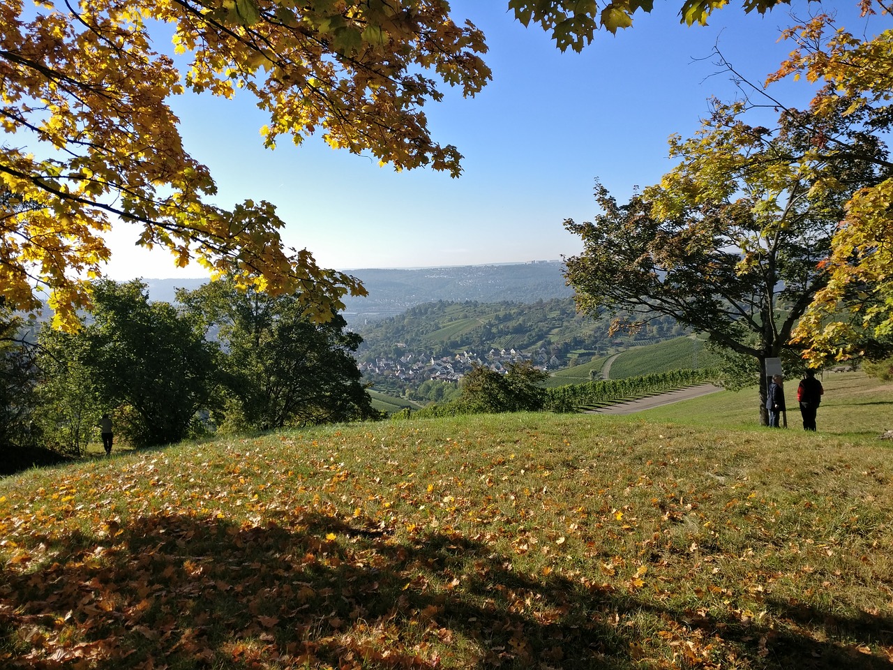 stuttgart autumn nature free photo