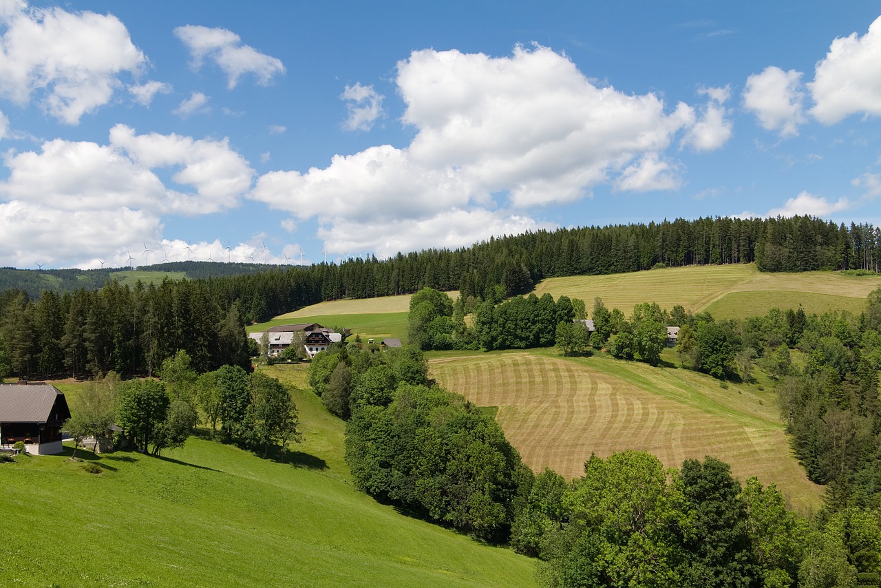 styria alpine pinwheel free photo