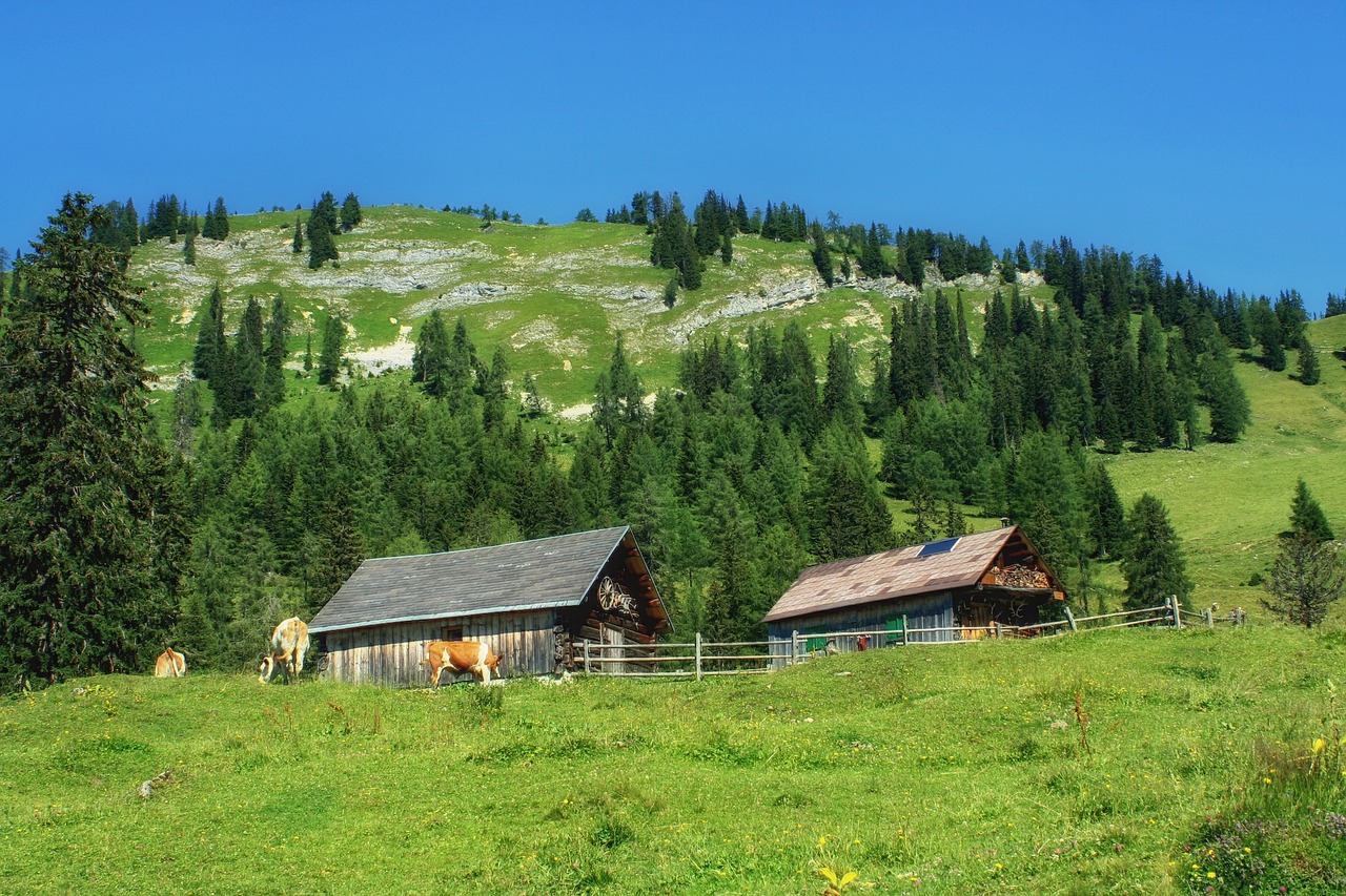 styria austria landscape free photo