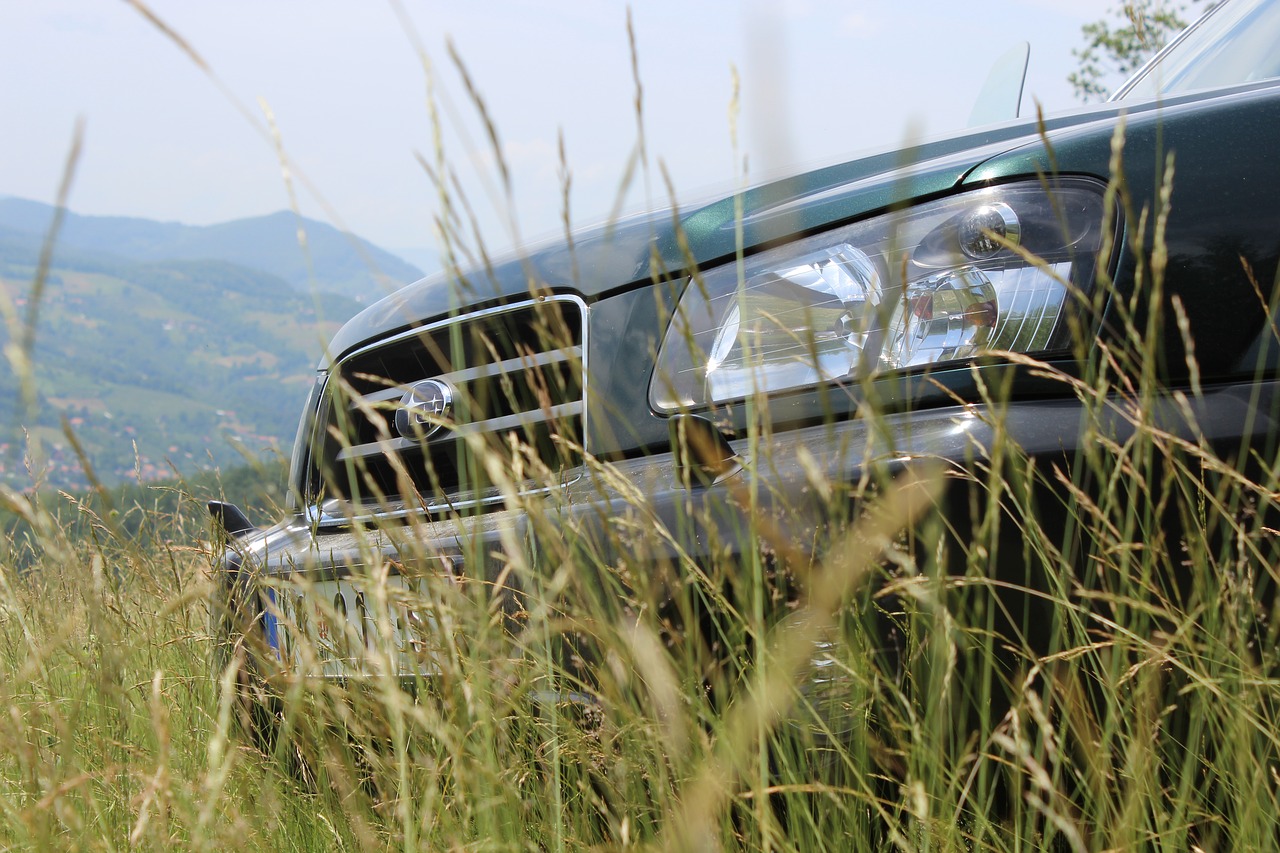 subaru forester forest free photo