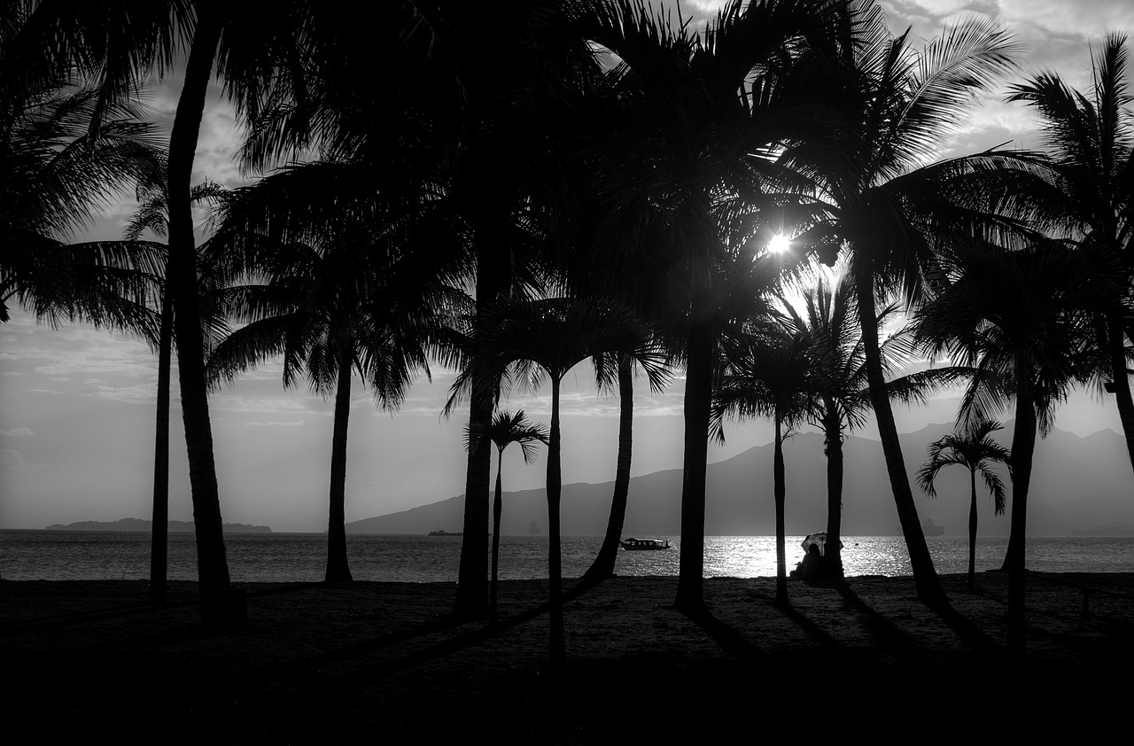 subicbay philippines sunset free photo