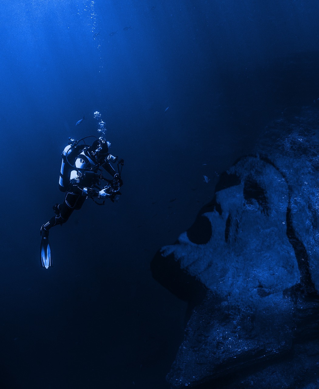 submerged exploration ocean free photo