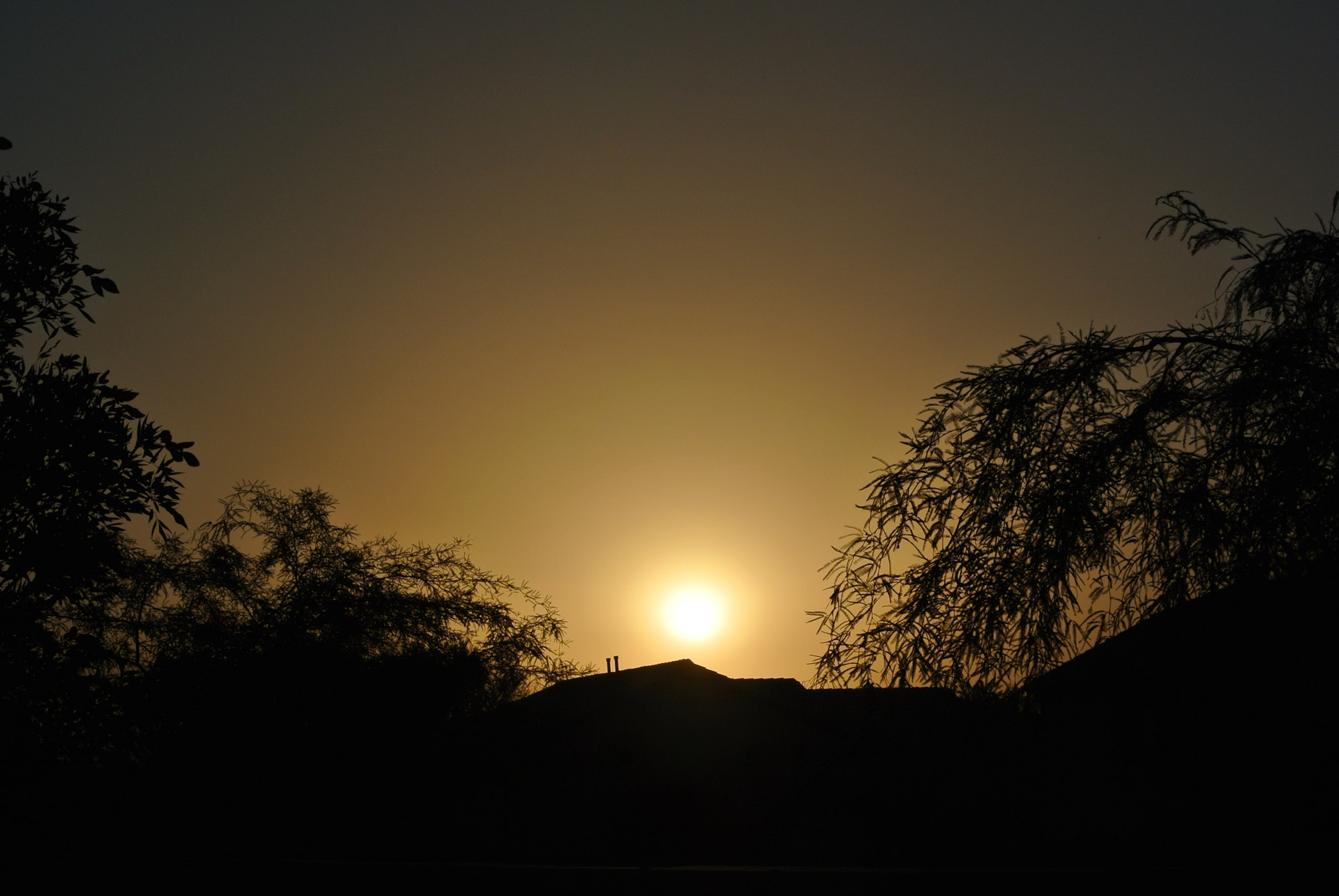 landscape sunrise desert free photo