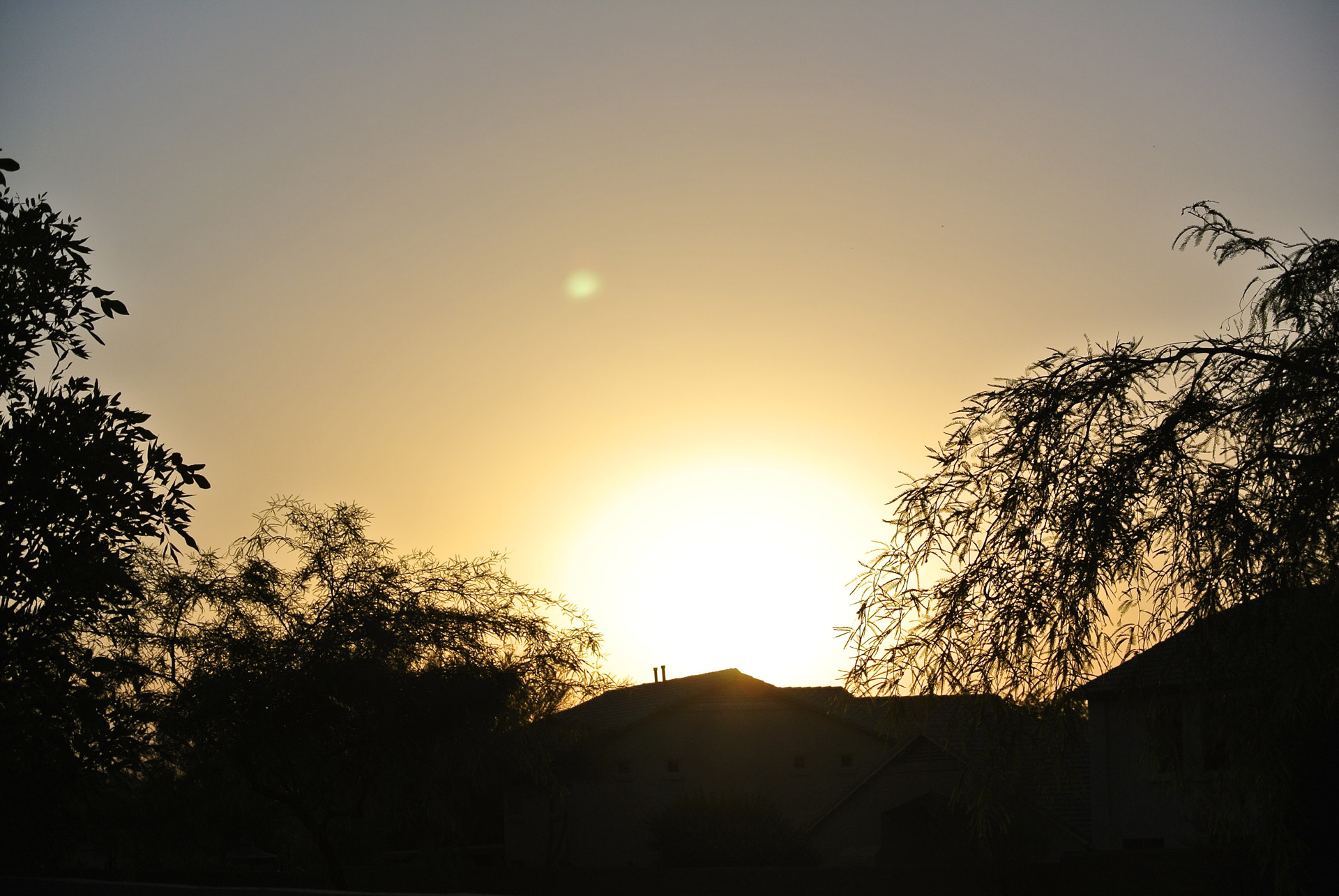 suburbia desert nature free photo