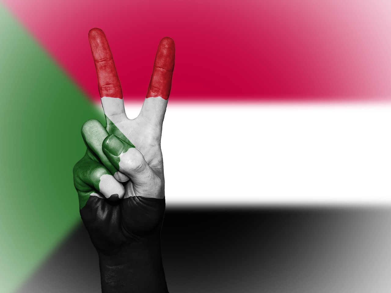 sudan peace hand free photo
