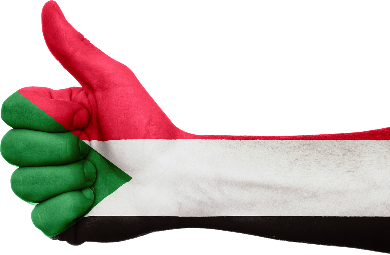sudan flag hand free photo
