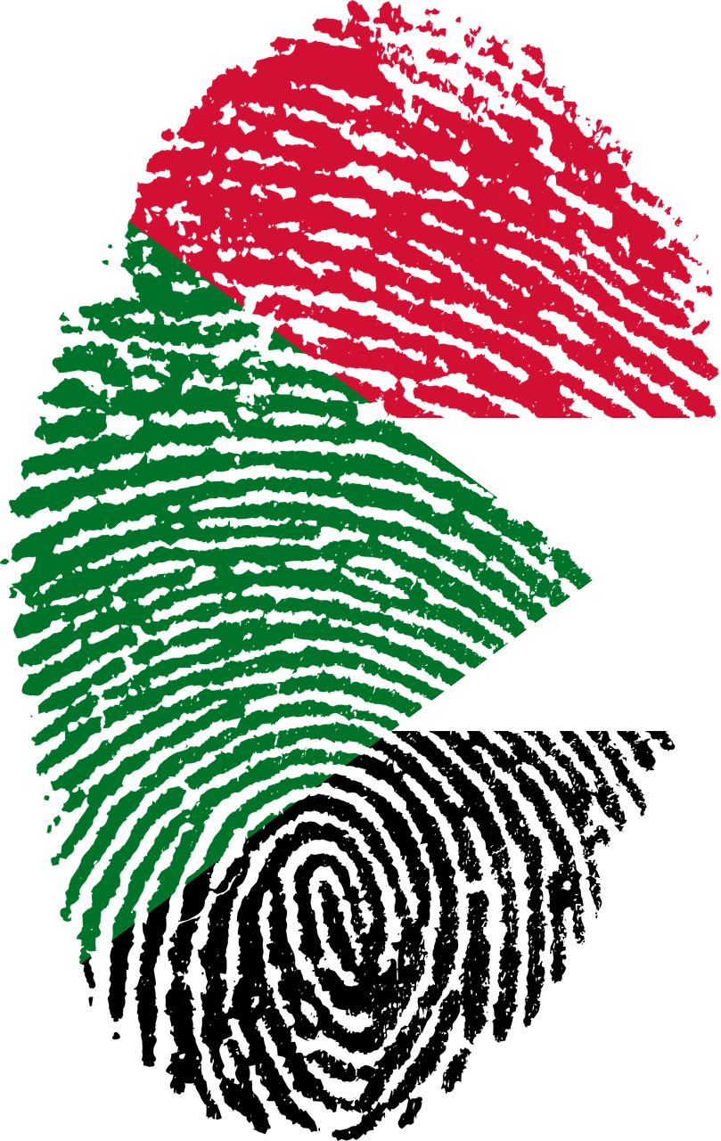 sudan flag fingerprint free photo