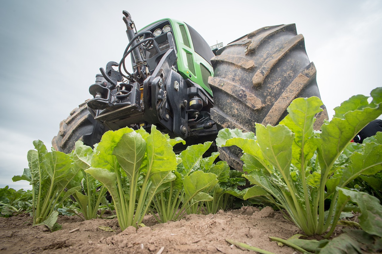 sugar beet agriculture tractor free photo
