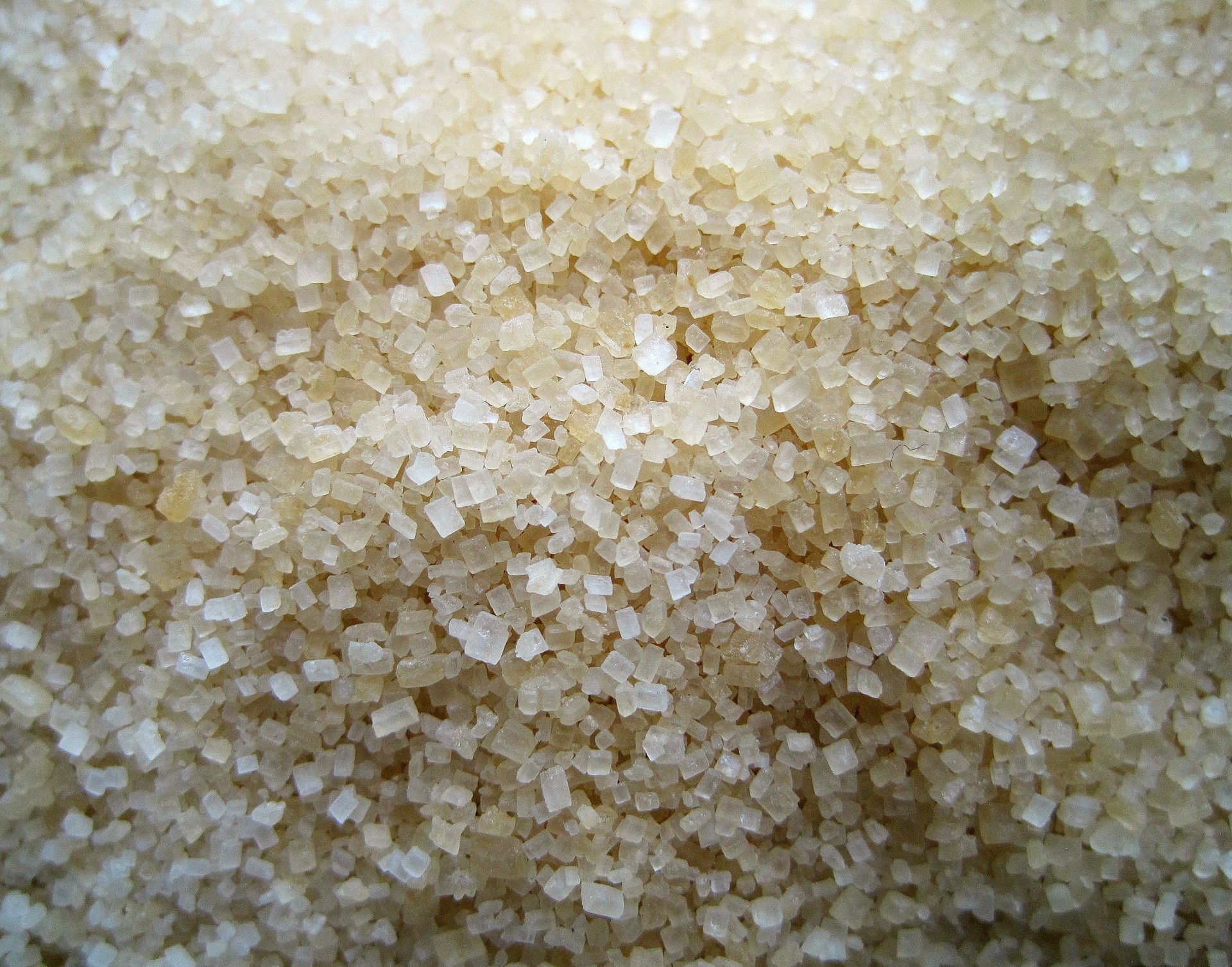sugar granular close free photo