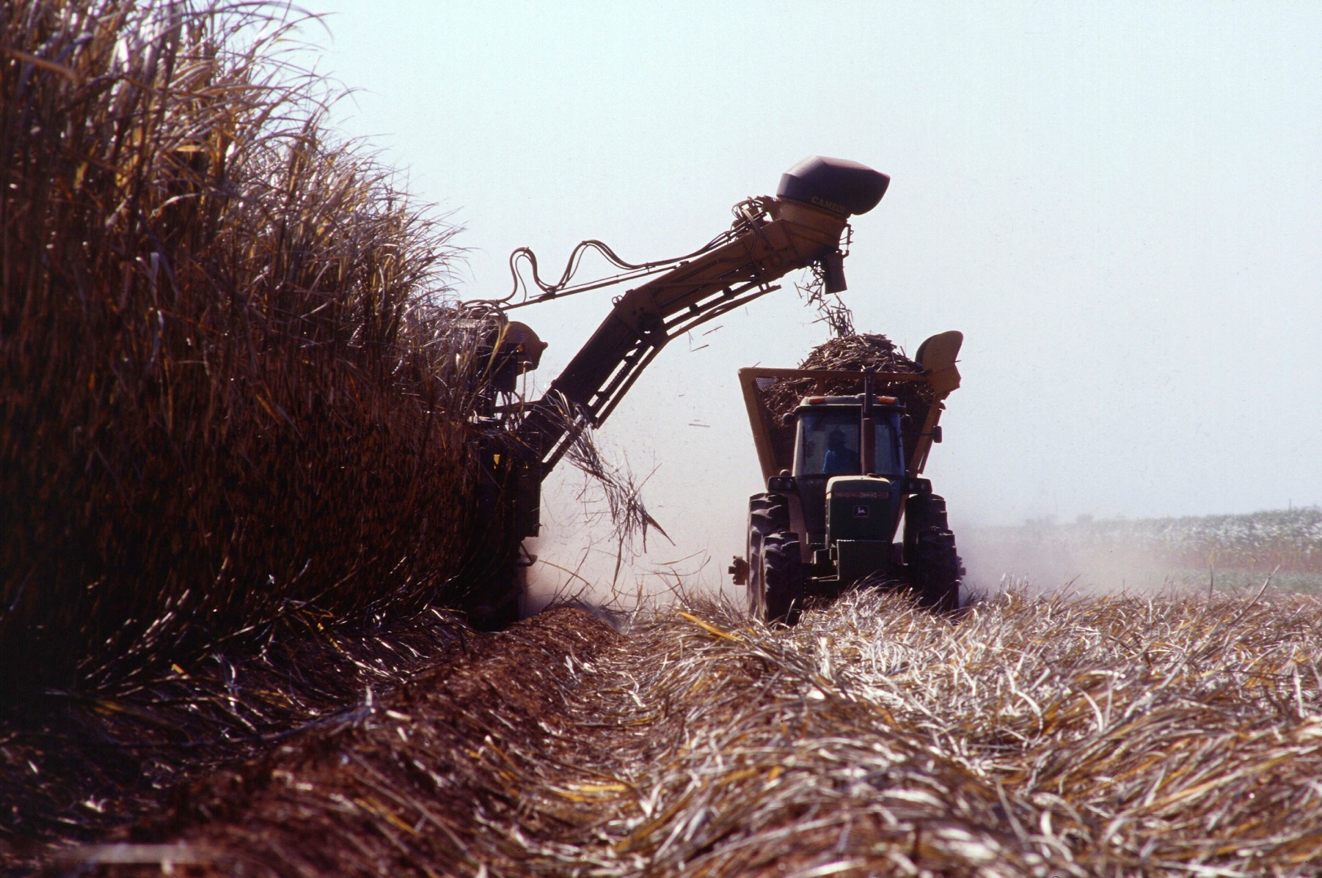 harvester sugarcane machinery free photo