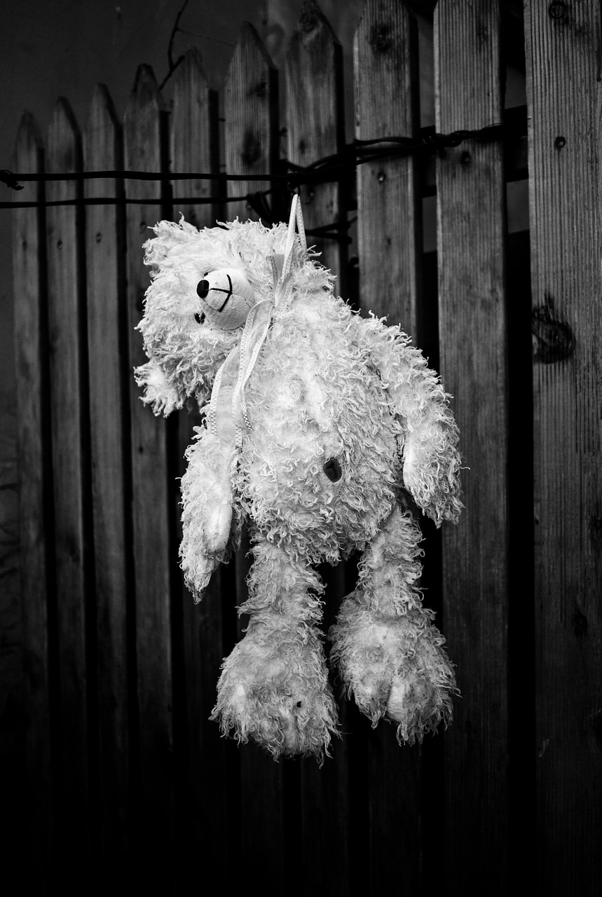 suicide bear cub depressed free photo
