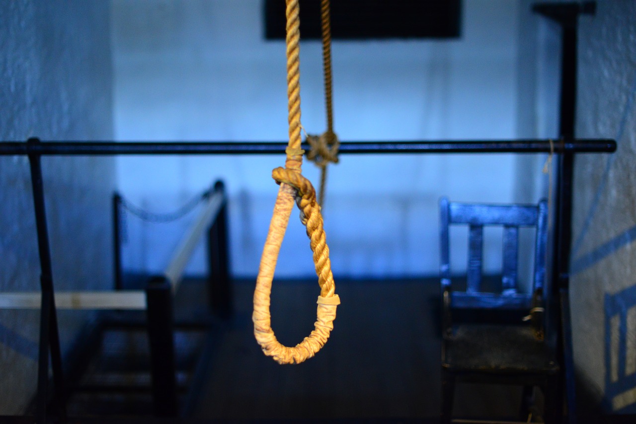 suicide hangman noose death free photo