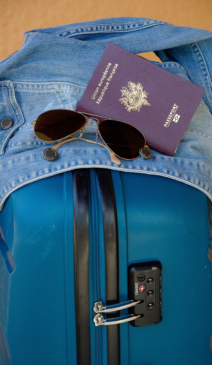 suitcase departure travel free photo