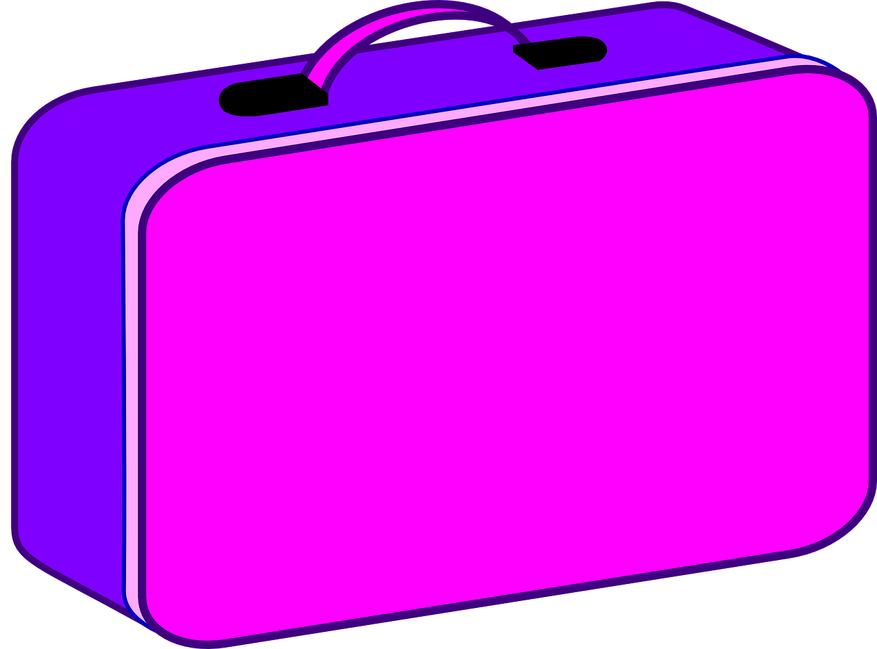 suitcase travel luggage free photo