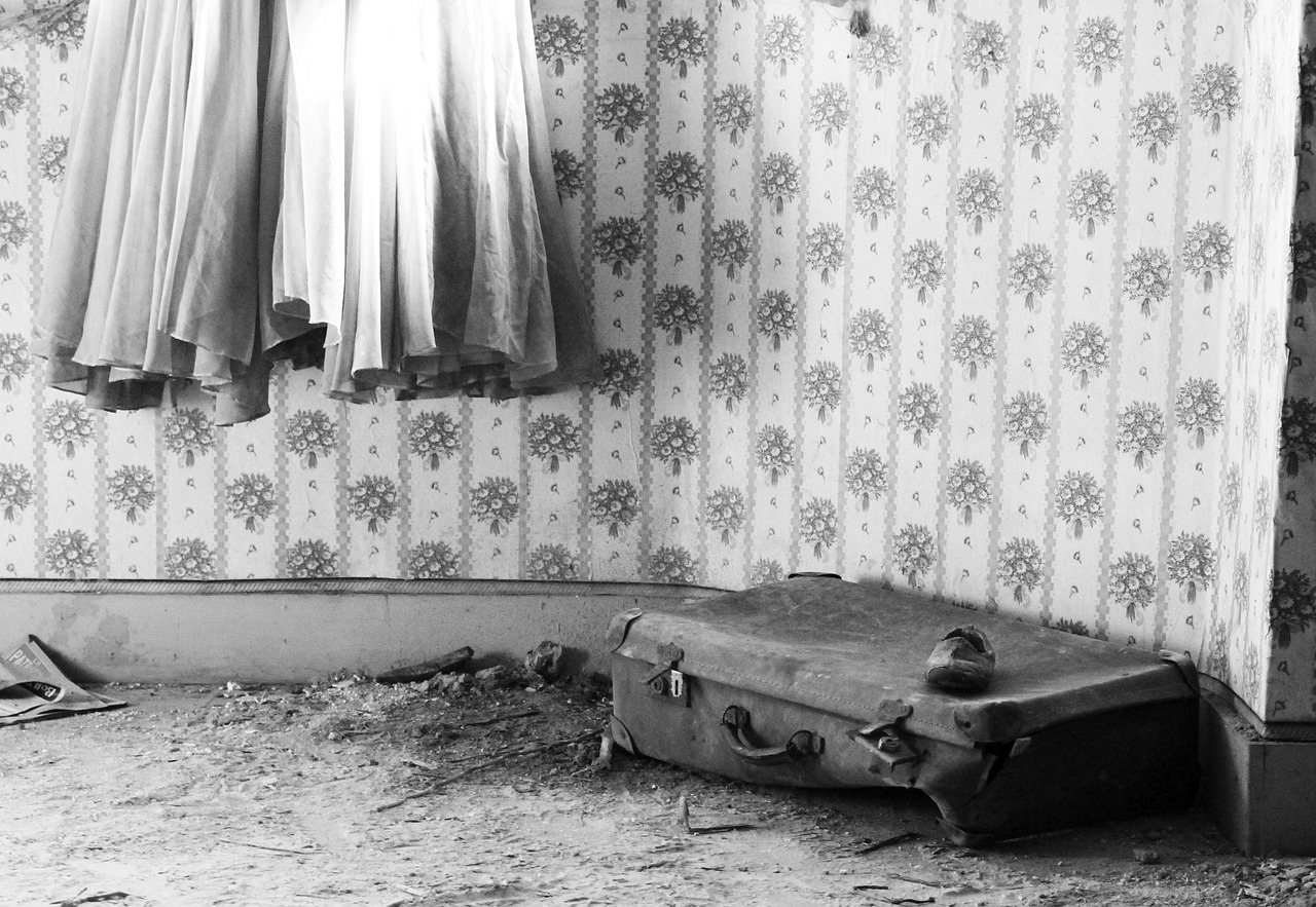 suitcase  dress  skirt free photo