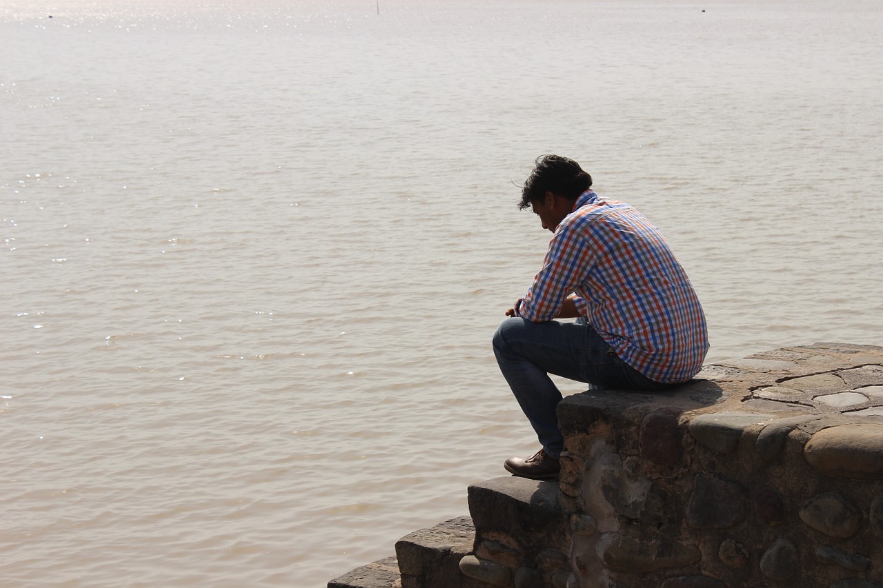 sukhna lake chandigarh water free photo