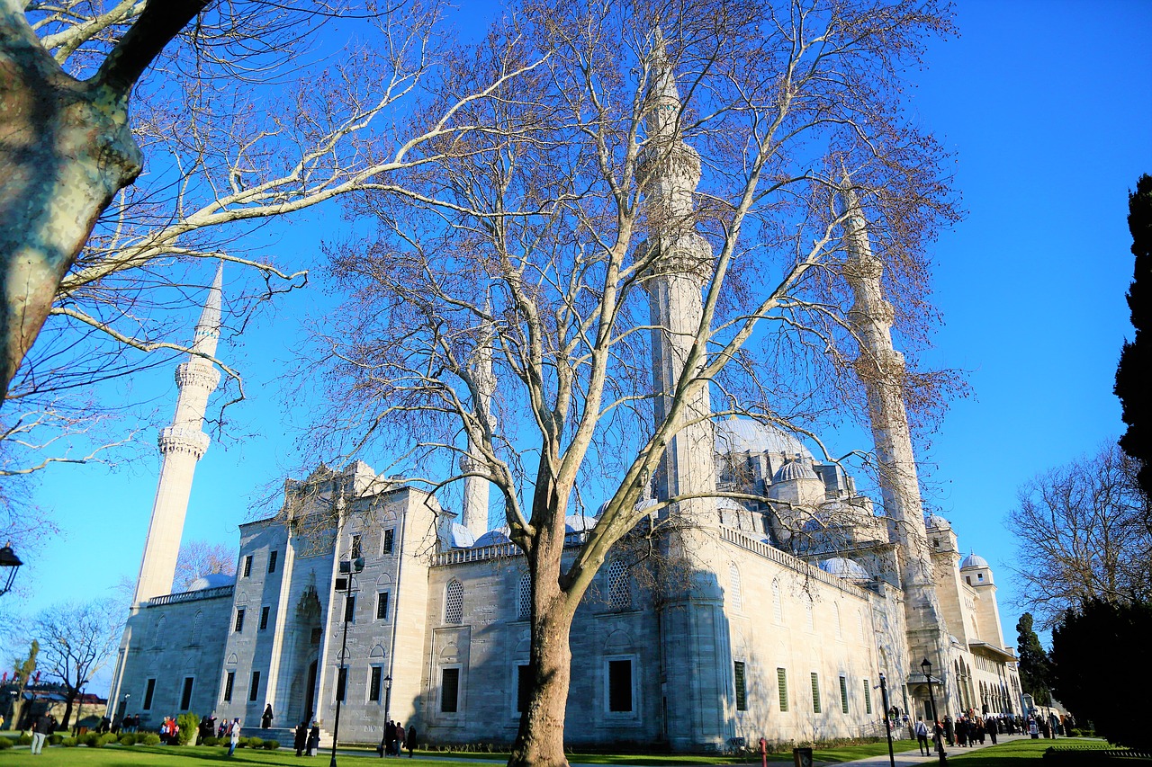 süleymaniye  cami  the minarets free photo
