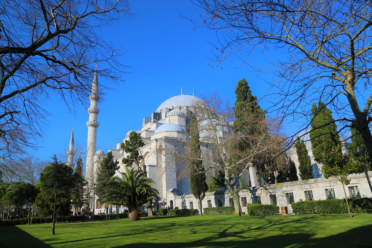 süleymaniye  istanbul  cami free photo