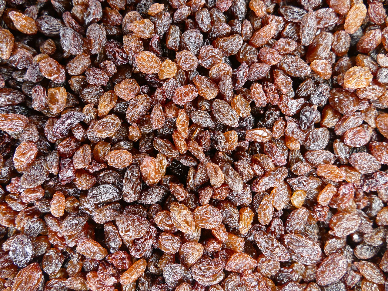 sultanas raisins cibeb free photo