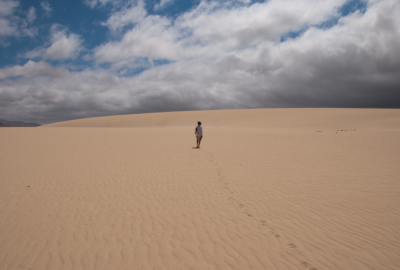 sultriness desert summer free photo