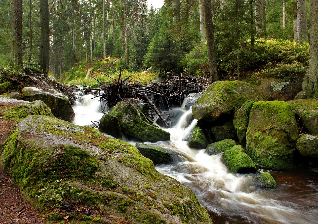 šumava river water free photo