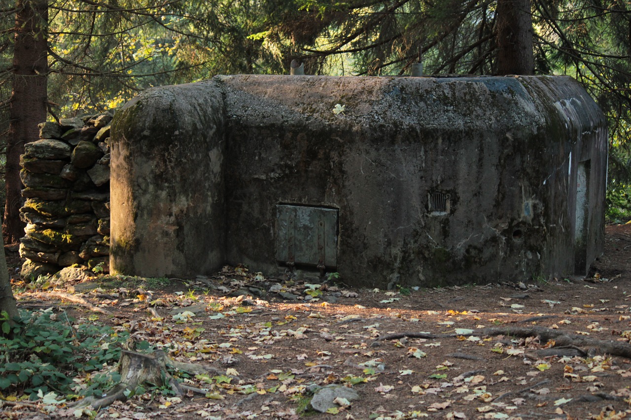 šumava bunker nature free photo