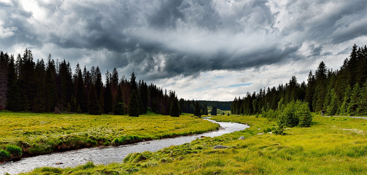 šumava nature stream free photo