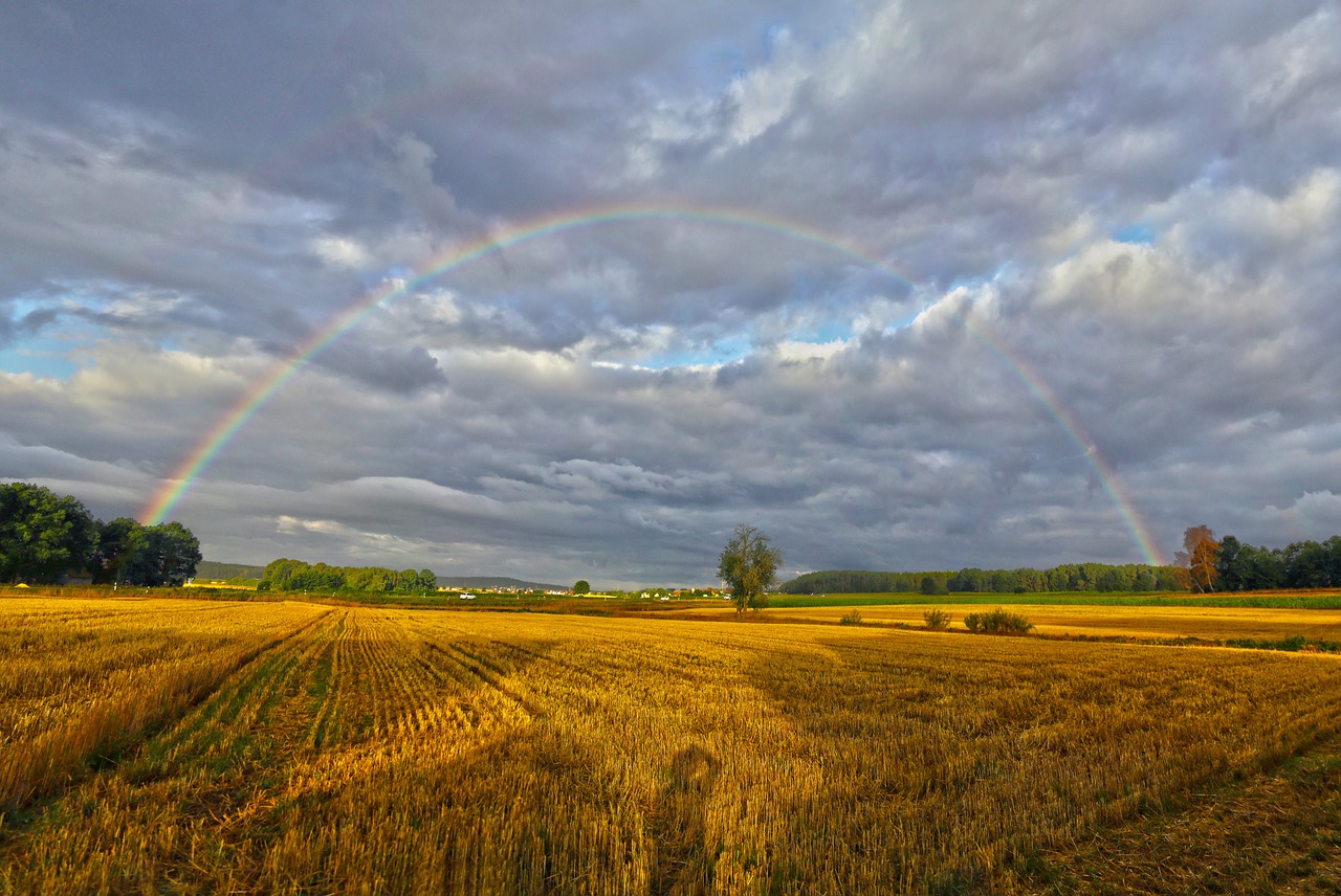 summer rainbow landscape free photo