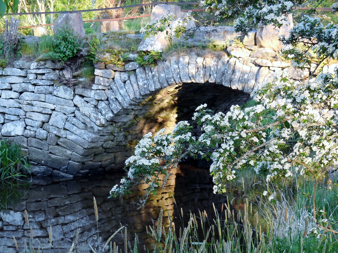 sweden kinnekulle stone bridge free photo