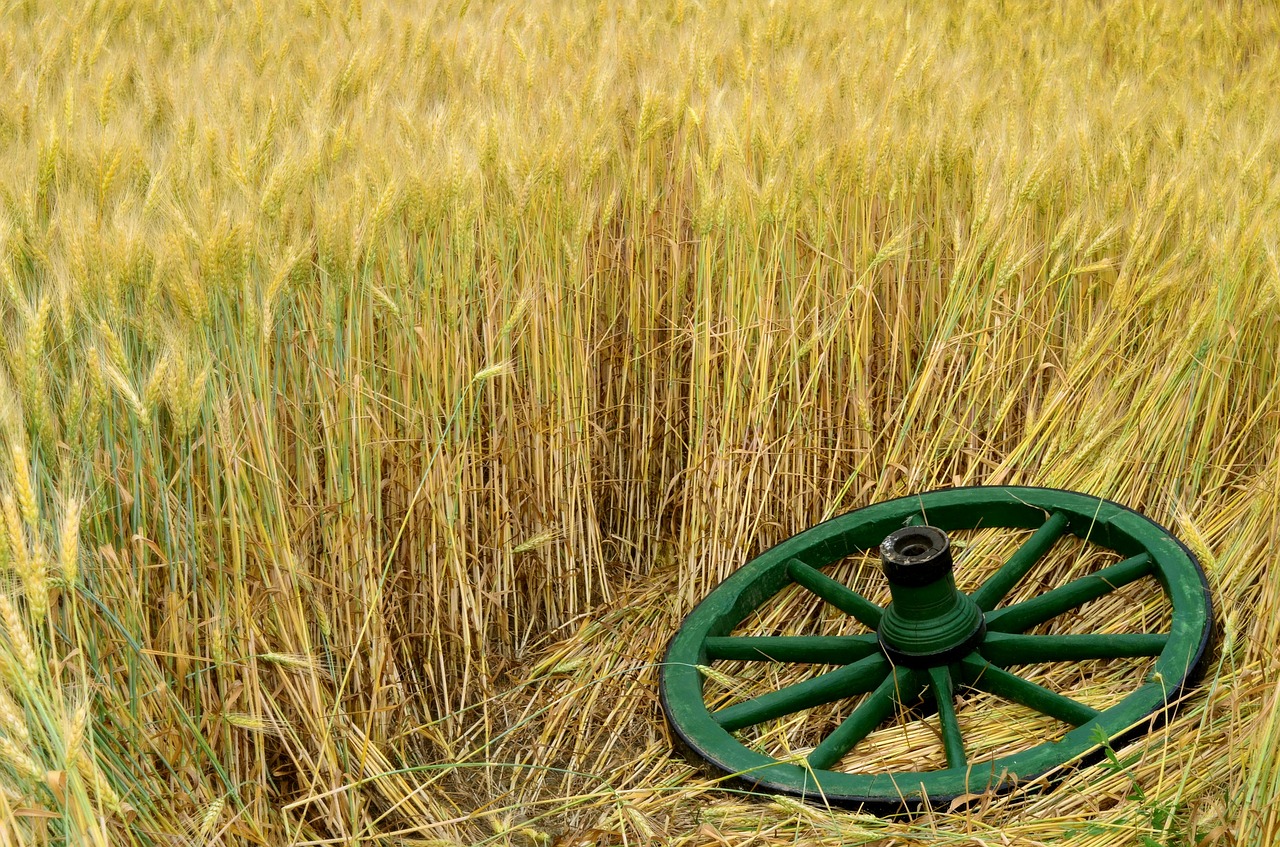 summer cart wheel free photo