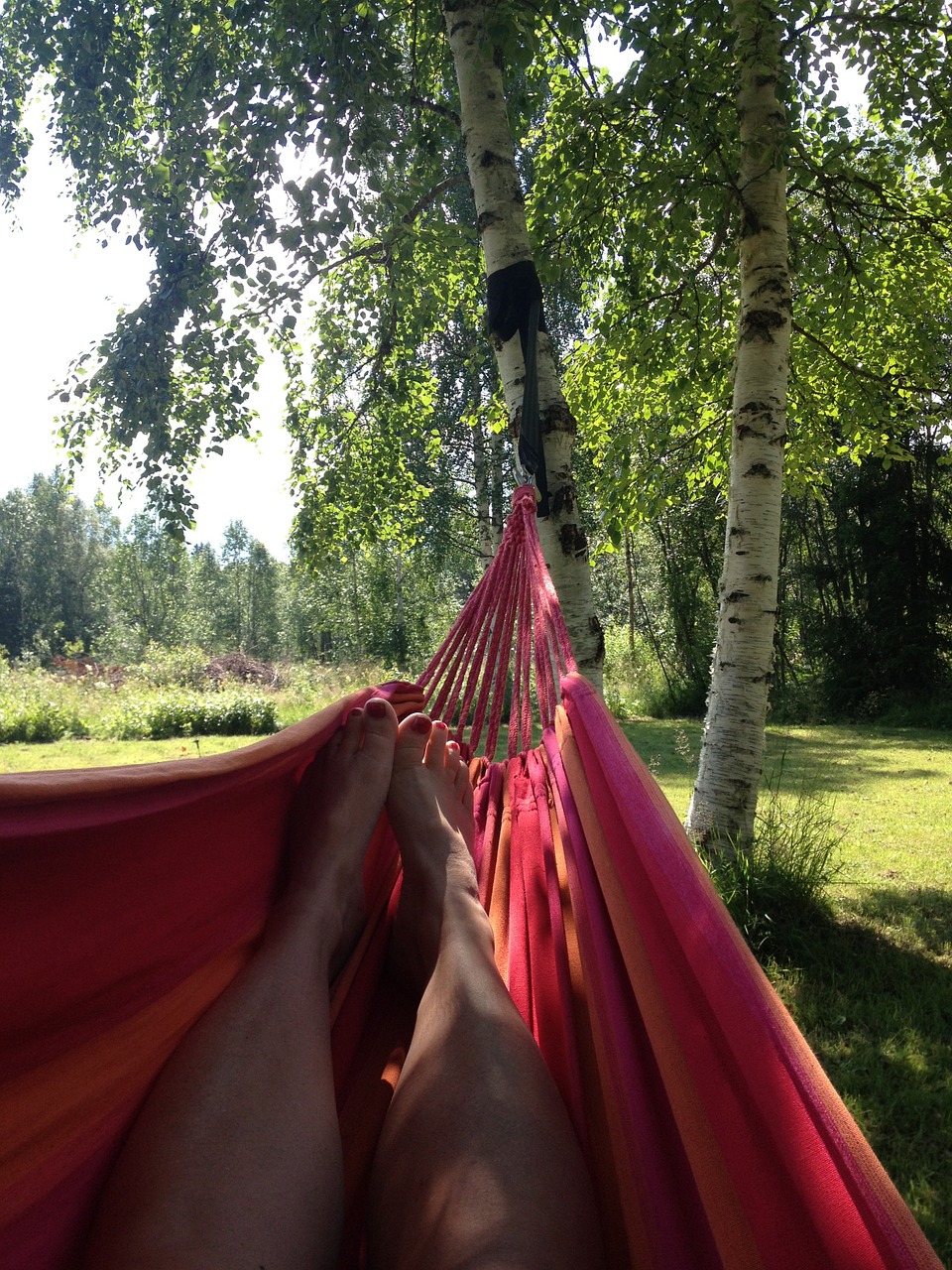 summer holiday hammock free photo