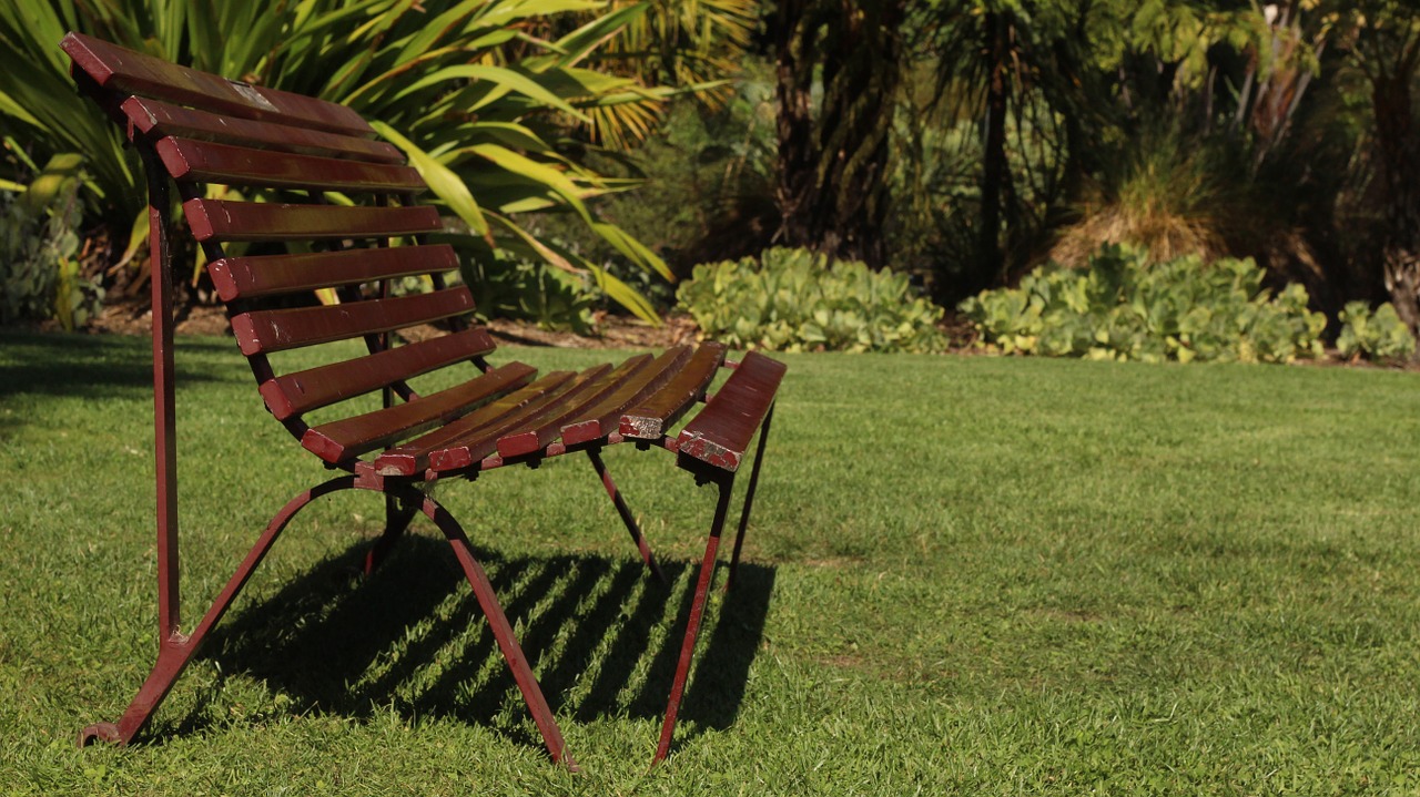 summer bench grass free photo