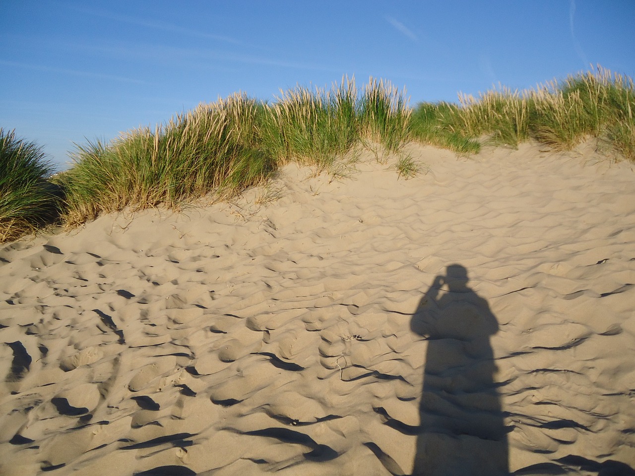 summer dunes shadow free photo