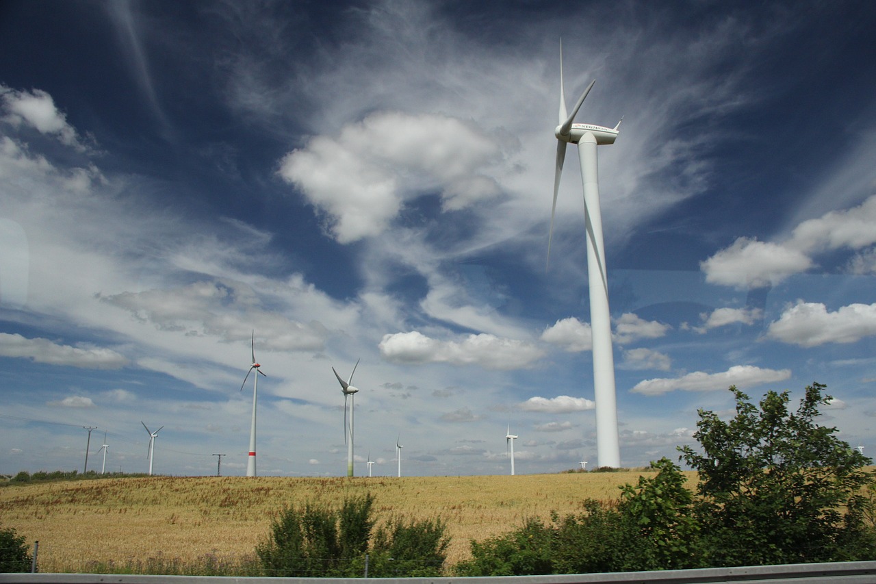 summer wind farm meadow free photo