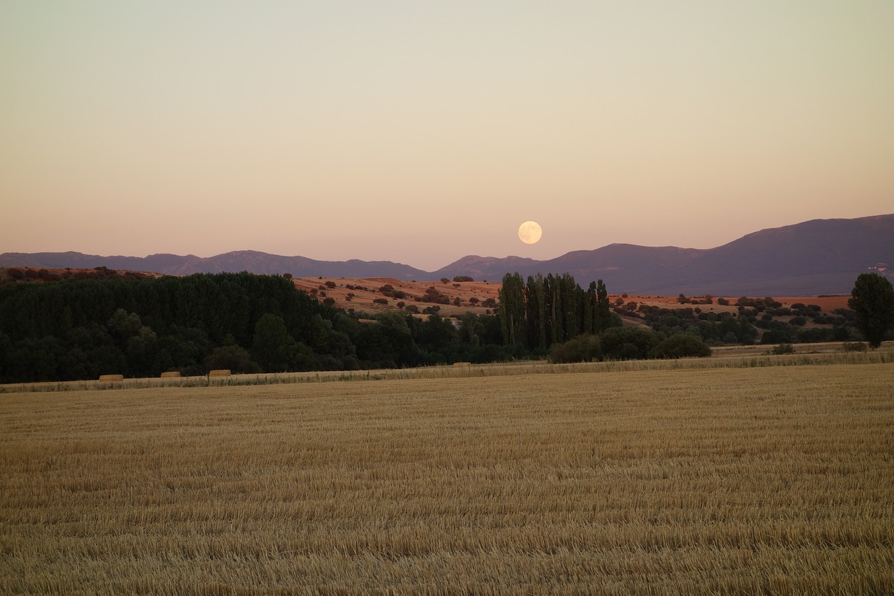 summer afternoon landscape free photo