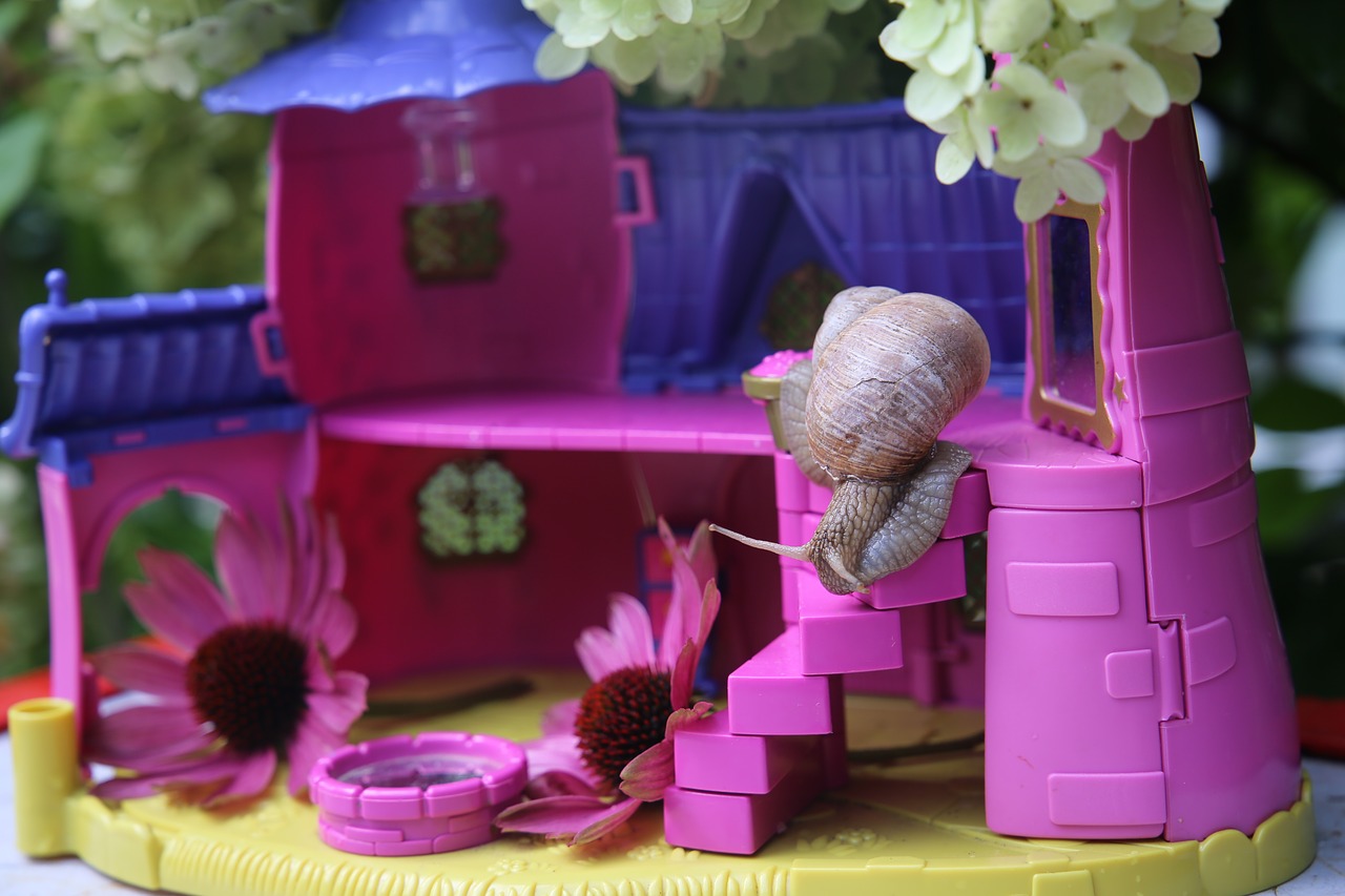 summer snail toy free photo
