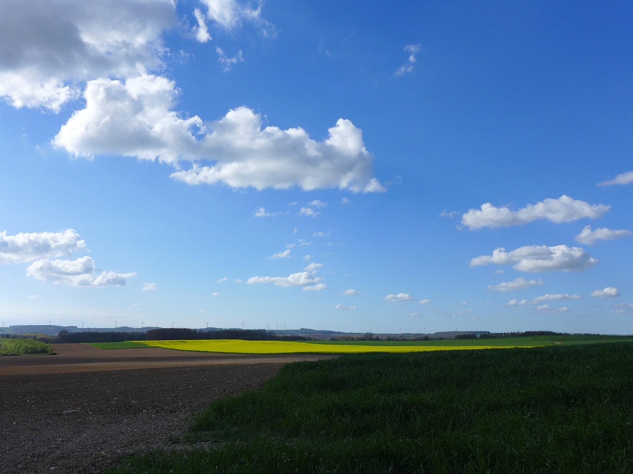 summer blue weather free photo