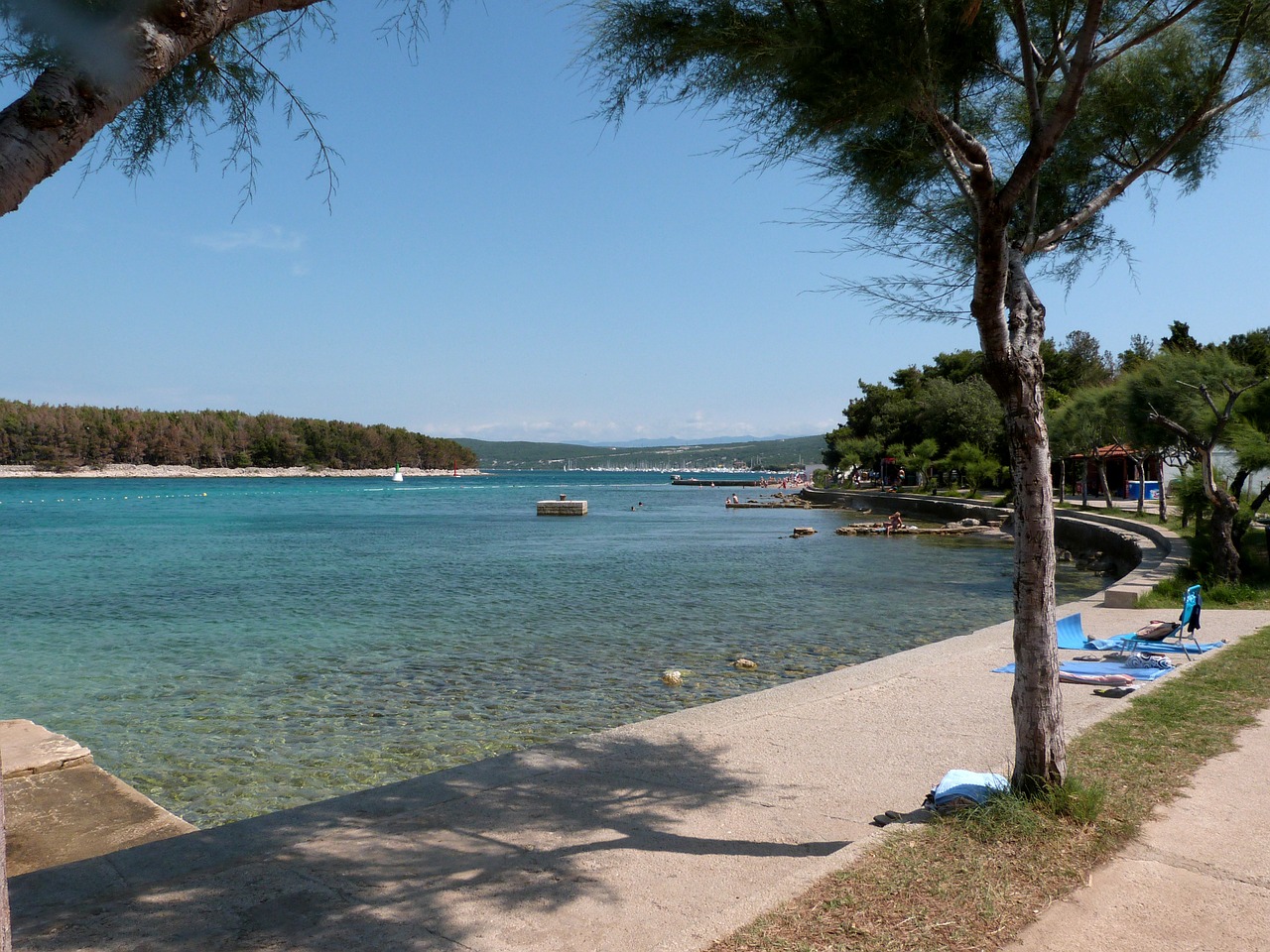 summer beach sea free photo