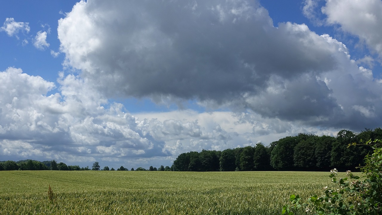 summer 2016 clouds landscape free photo